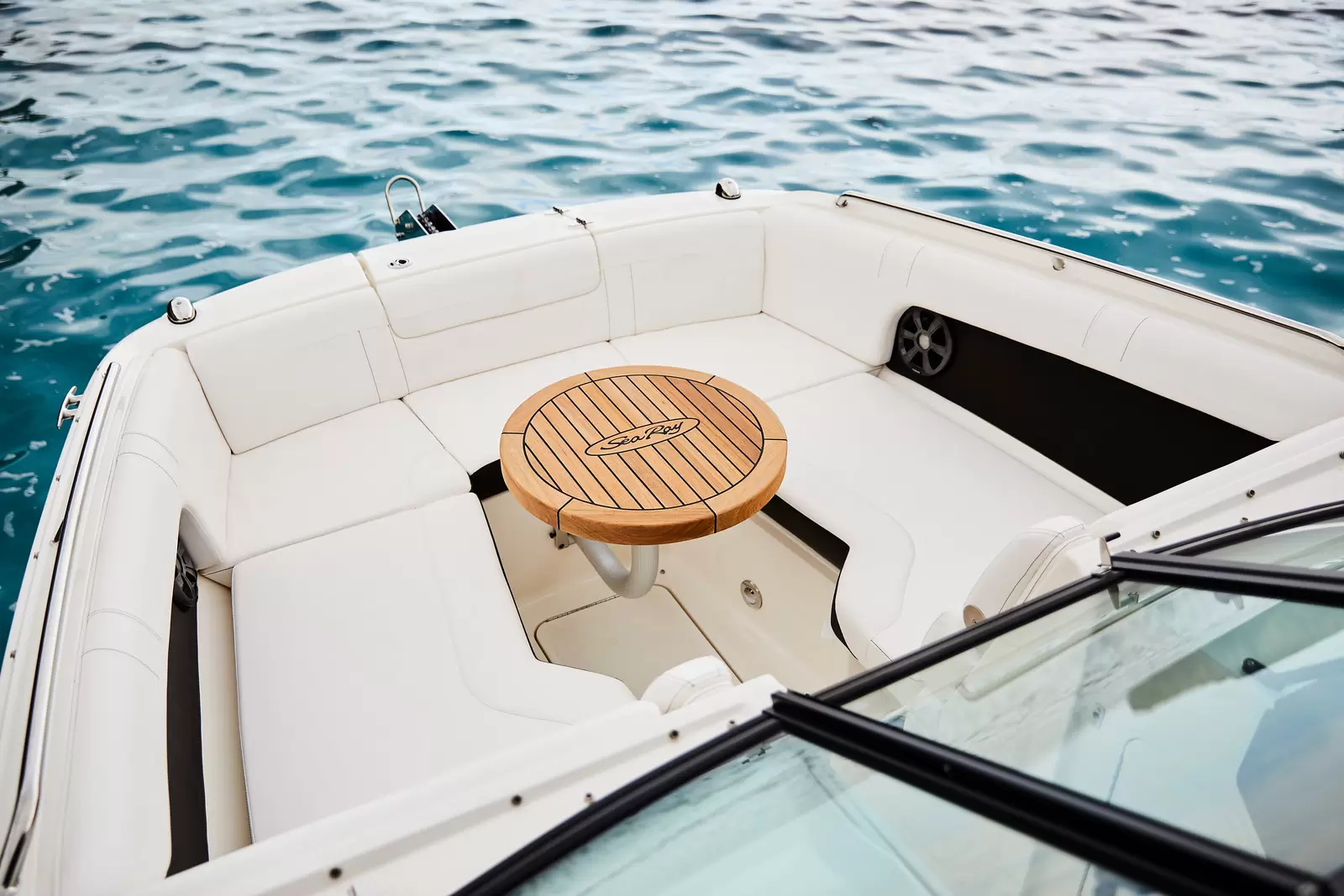 Sea Ray SDX 270