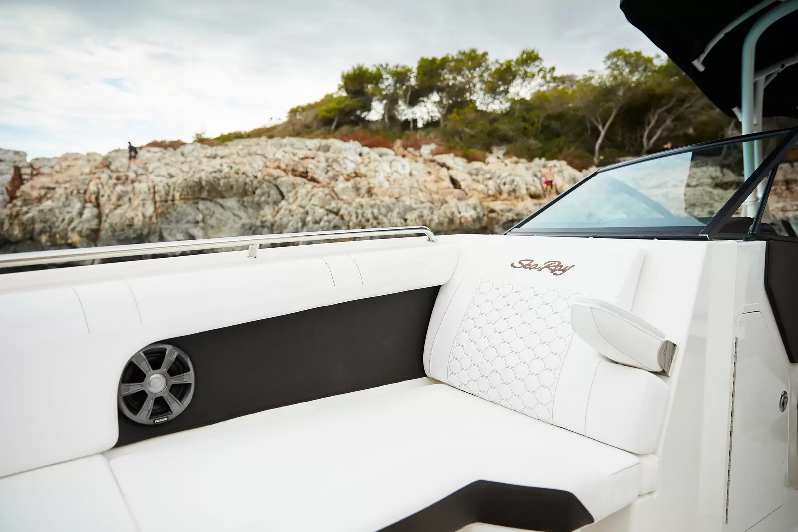 Sea Ray SDX 270